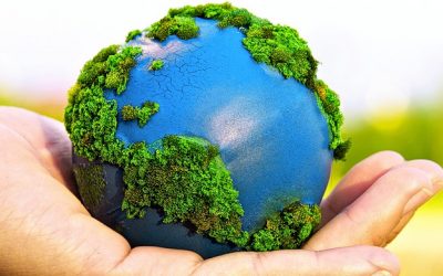 ¿Porque implementar ISO 14001: 2005 – Sistemas de Gestión Ambiental?